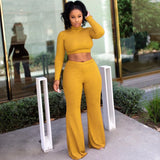 female 2-piece Outfits season
 cold season
 polo neck
 weaveted
 Sweater Tops & broad
 Leg Pants Sweat dresss
 twin
 piece
 dresss
able
 Sets